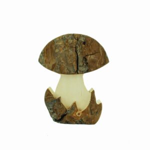 Bark Mushroom - 3.25"